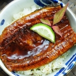 日式頂級蒲燒鰻
